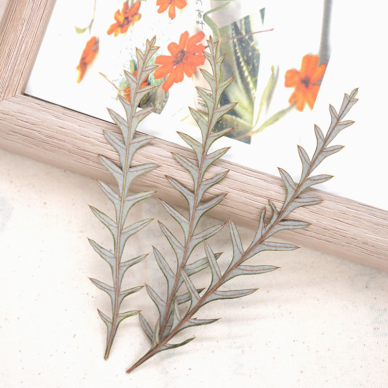 Dried Flower Bookmark - Pressed Dried Fern Frond Leaf Flower