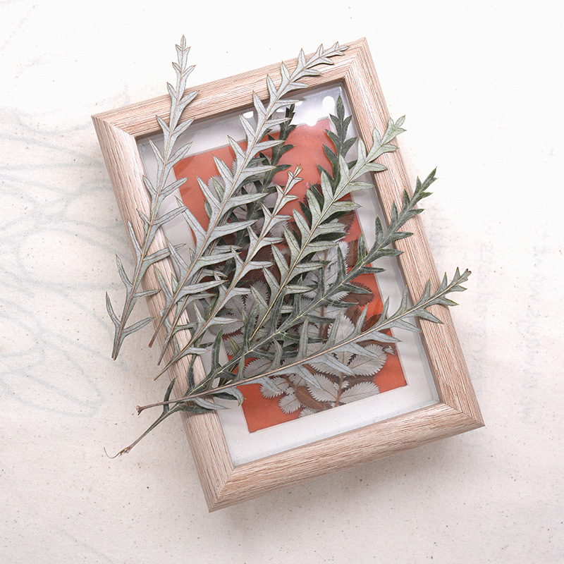 Pressed Dried Fern Frond Leaf  - Dried Flower Bookmark recension och pris