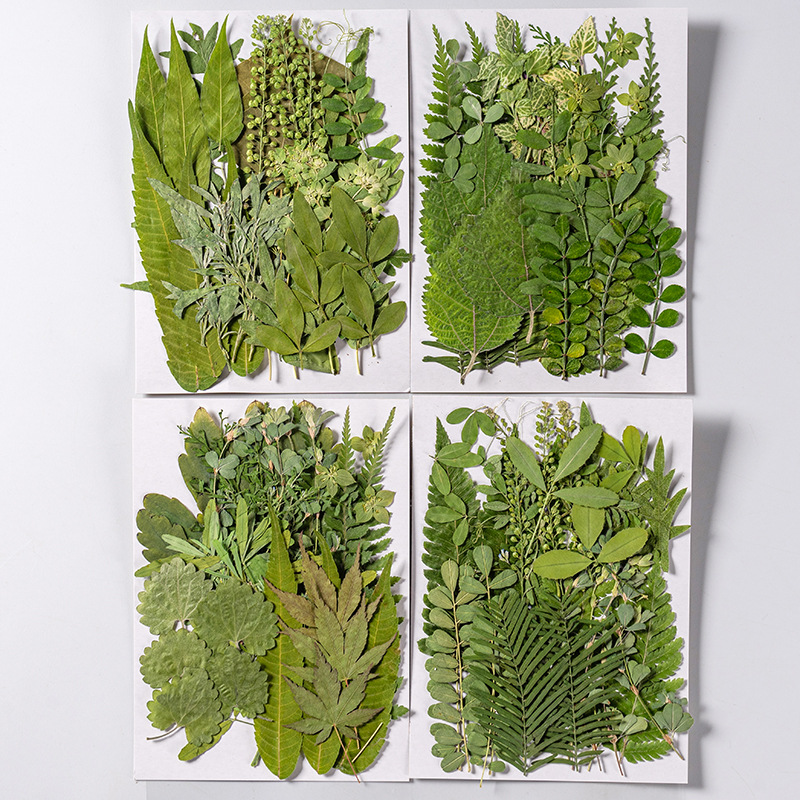 1Set 35pcs Pressed Dried Flowe - Dried Flower Bookmark recension och pris