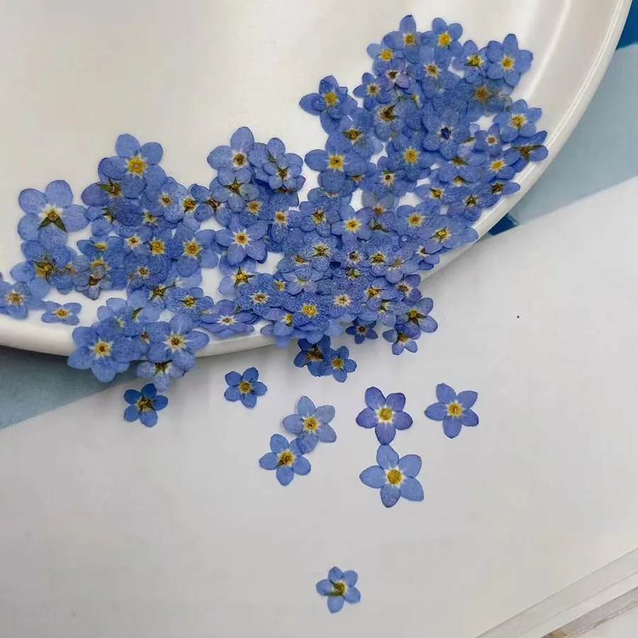 Natural Pressed Dried Blue For - Dried Flower Bookmark recension och pris