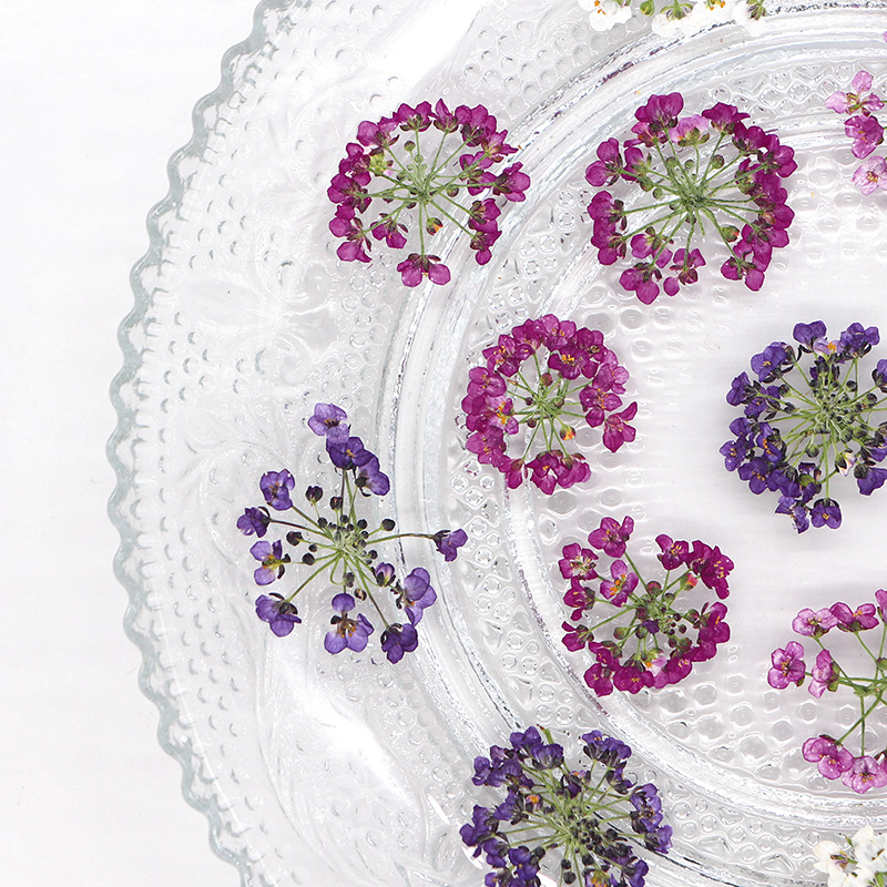 1.5-2.5cm/12pcs,Nature Pressed - Dried Flower Bookmark recension och pris