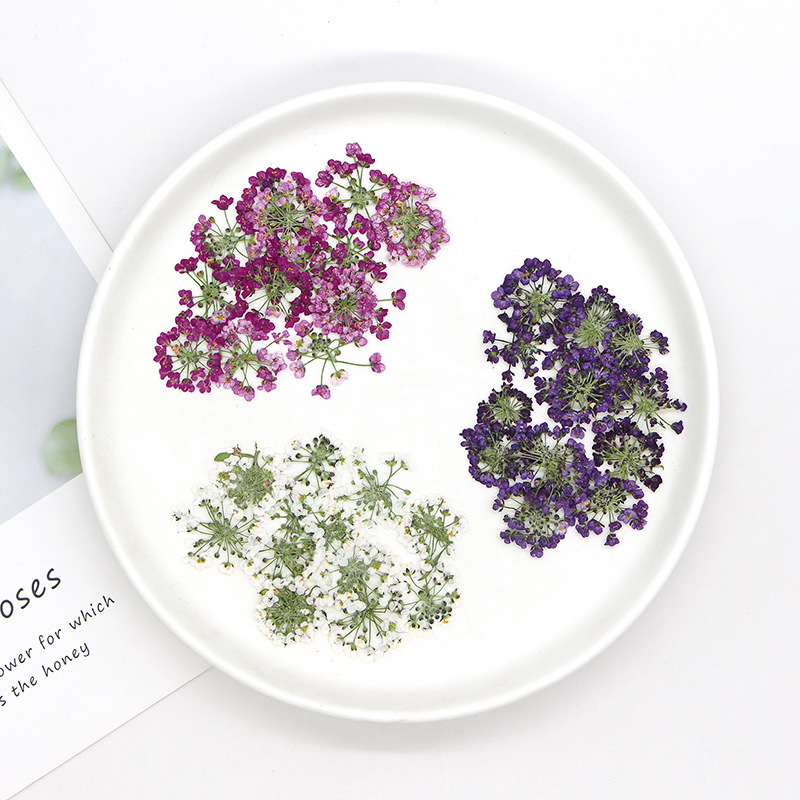 1.5-2.5cm/12pcs,Nature Pressed - Dried Flower Bookmark recension och pris