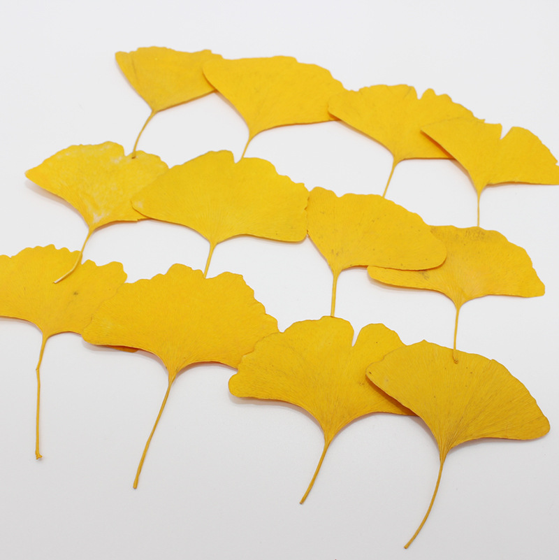 60pcs Pressed Dried Yellow/Gre - Dried Flower Bookmark recension och pris